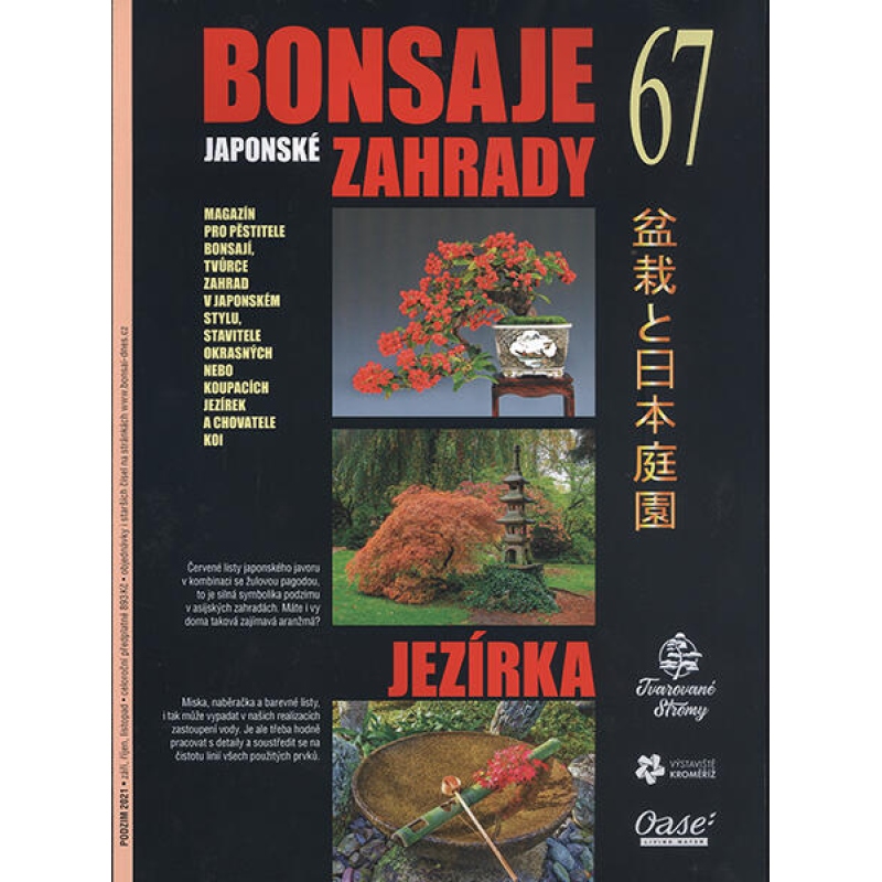 Bonsai i Ogrody Japońskie nr 67