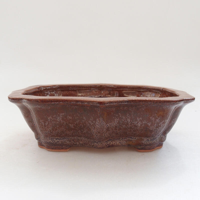 Ceramiczna miska bonsai 15,5 x 11 x 4,5 cm, kolor brązowy