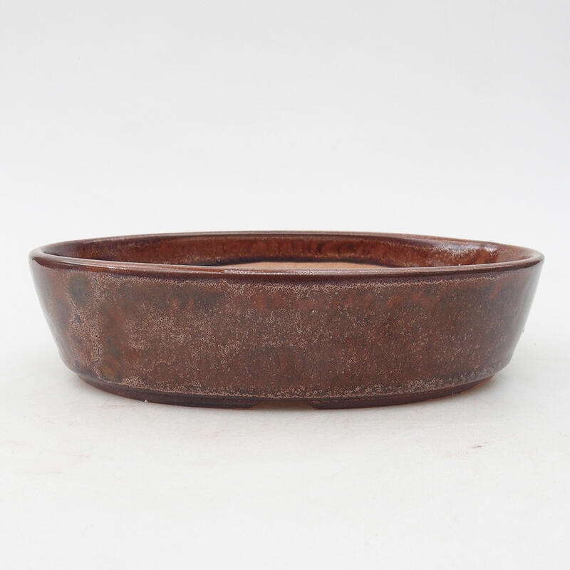 Ceramic bonsai bowl 18.5 x 13 x 4.5 cm, color brown