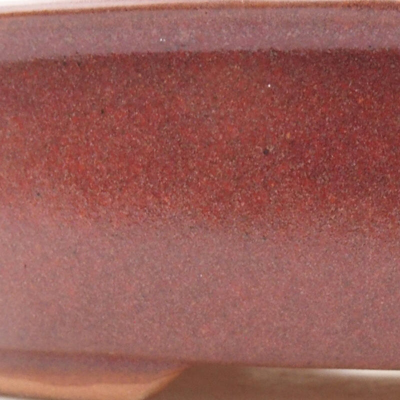 Ceramic bonsai bowl 19 x 14.5 x 5 cm, wine color