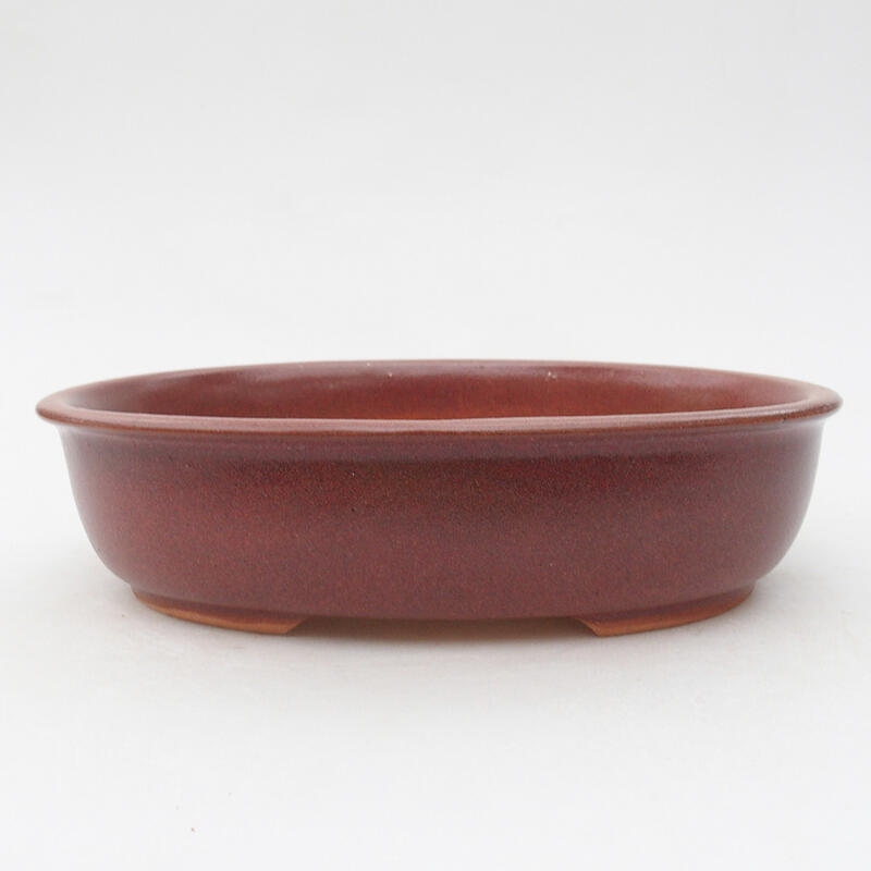 Ceramic bonsai bowl 19 x 14.5 x 5 cm, wine color