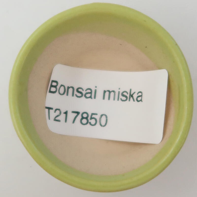 Ceramiczna miska bonsai 4,5 x 4,5 x 2,5 cm, kolor zielony