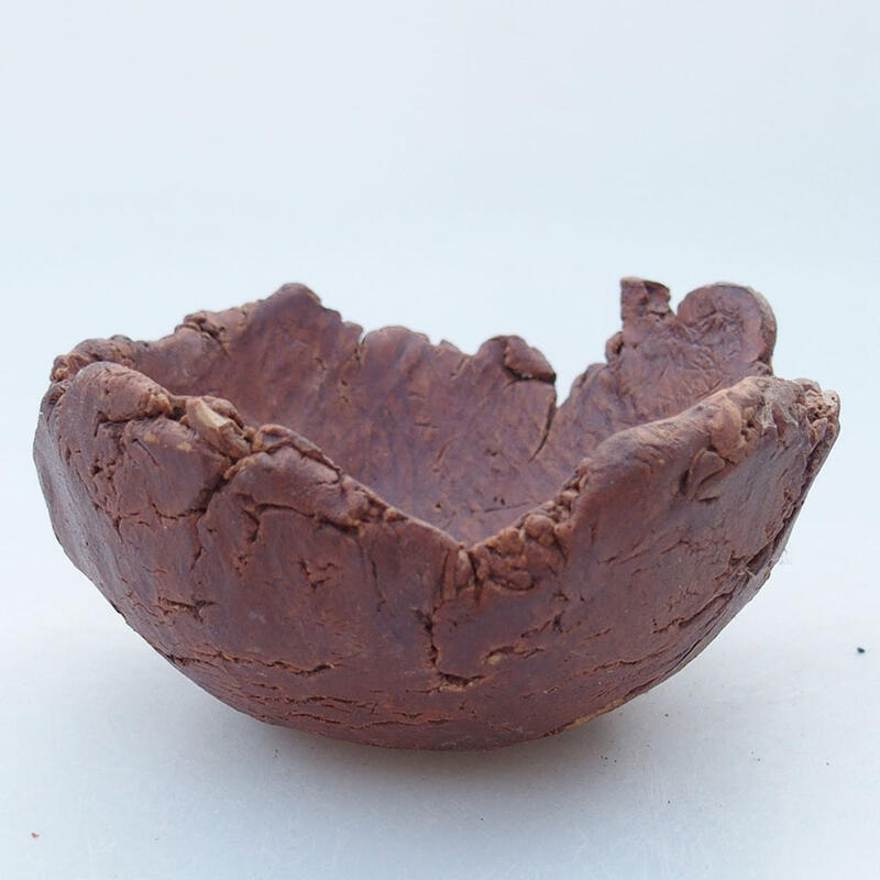 Muszla ceramiczna 10,5 x 10 x 5,5 cm, kolor brązowy