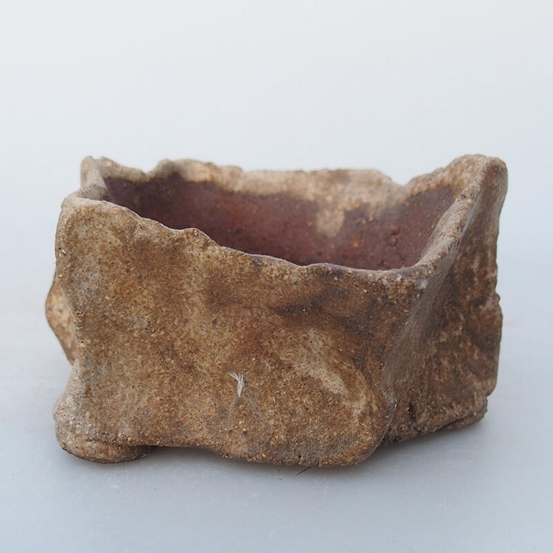 Muszla ceramiczna 7 x 6 x 4 cm, kolor beżowy