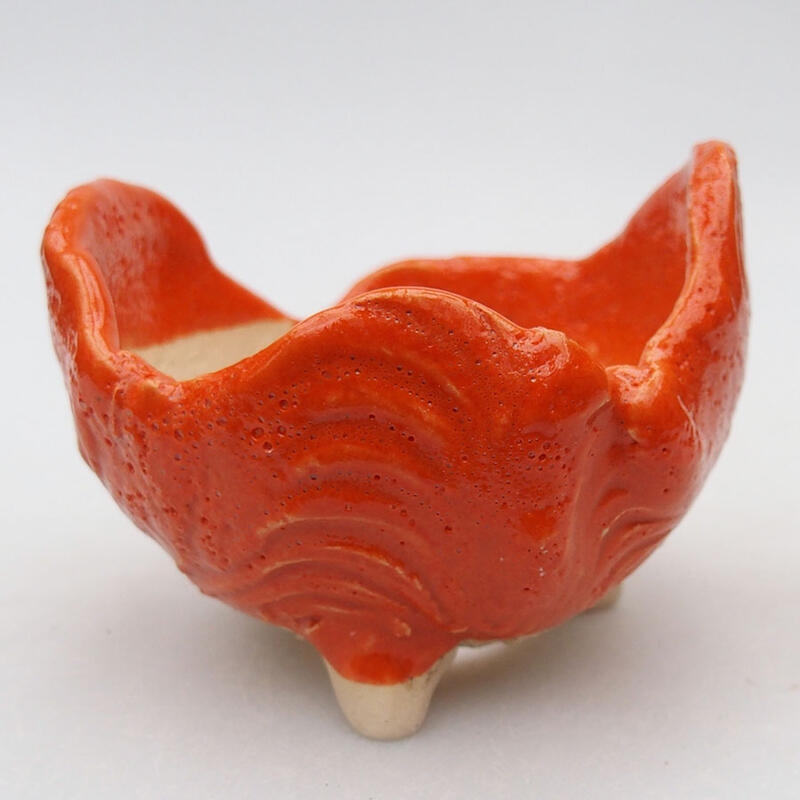 Muszla ceramiczna 8,5 x 8,5 x 6,5 cm, kolor pomarańczowy