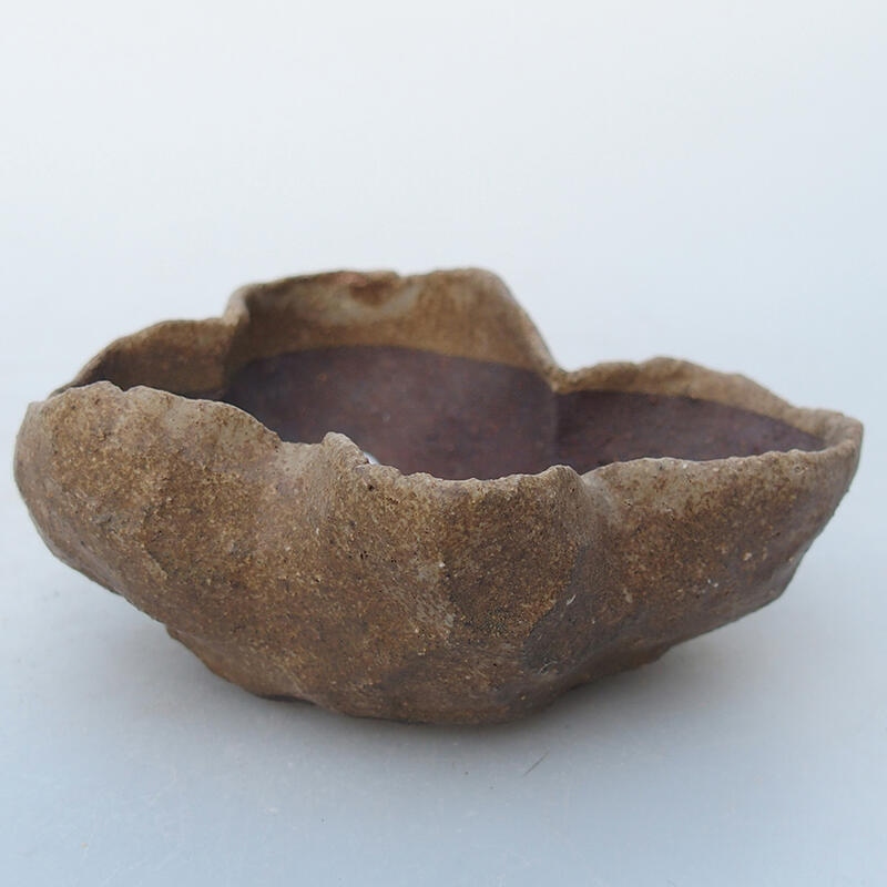 Muszla ceramiczna 8 x 6 x 4,5 cm, kolor beżowy